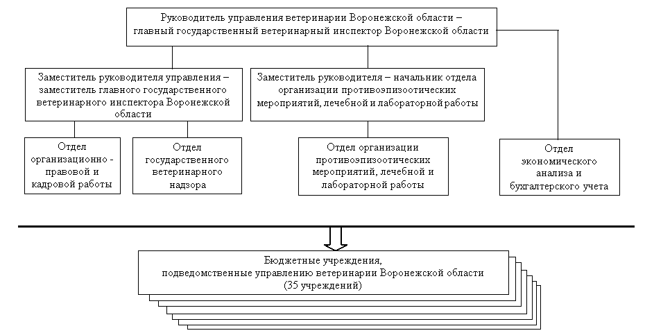 Структура государственной ветеринарной службы Воронежской области